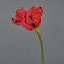 Flor decorativa de amarilis BELAV, roja, rojo, 70cm, Ø5-13cm