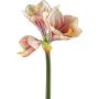 Flor decorativa de amarilis BELAV, rosa-crema-verde, 70cm, Ø5-13cm