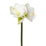 Flor decorativa amarilis BELAV, blanca, blanco-verde, 70cm, Ø5-13cm