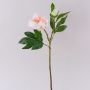 Peonía artificial FYRFAR, abierta, rosa claro, 60 cm