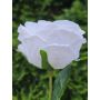 Rosa artificial MARNUK, color crema-blanco, 60 cm