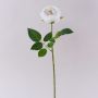 Rosa artificial MARNUK, color crema-blanco, 60 cm
