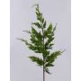Rama decorativa de tuya STERNYN, verde, 85 cm
