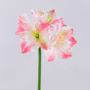 Amaryllis artificial SARNUK, blanco-rosa, 80 cm