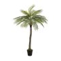 Palmera de coco artificial BOLON, 160 cm