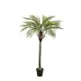 Palmera de coco artificial BOLON, 180 cm