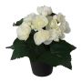 Flor artificial de begonia KELTO en maceta decorativa, blanca, 25 cm