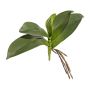 Hojas artificiales de orquídea Phalaenopsis BRULST, varilla, raíces, 25 cm