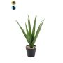 Palmera yuca artificial BAKVER, maceta decorativa, crossdoor, 50 cm