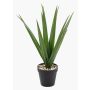 Palmera yuca artificial BAKVER, maceta decorativa, crossdoor, 50 cm
