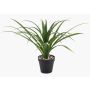 Palmera yuca artificial Yucca rostrata POLLYANNA, maceta decorativa, crossdoor, 35 cm