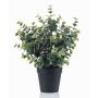Eucalipto artificial GLIWEN en maceta decorativa, verde-gris, 30 cm