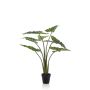 Planta artificial Alocasia Sanderiana MUNAY en maceta decorativa, verde, 100 cm