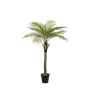Palmera de coco artificial BOLON, 260 cm