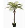 Palmera de coco artificial BOLON, 260 cm