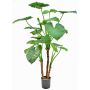 Planta artificial Alocasia calidora NOKJAN, verde, 120cm