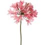 Flor artificial Agapanthus KAFENA, rosa claro, 90cm, Ø20cm