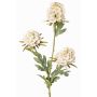 Rama artificial de clavel STERMYN, crema, 75cm, Ø6,5-8,5cm