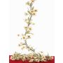 Guirnalda artificial de edelweiss alpino WALSIMA, blanco, 180cm, Ø5-6cm
