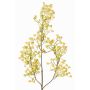 Rama artificial de gypsophila MURMYN, amarillo-verde, 65cm