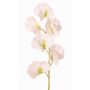 Flor artificial Lathyrus WAHNY, blanco-verde, 45cm, Ø5,5cm