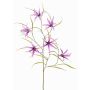 Rama decorativa TYZANS, morada, 95 cm
