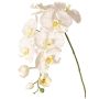 Rama decorativa de orquídea Phalaenopsis WESA, blanca, 100 cm