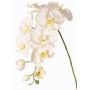 Rama decorativa de orquídea Phalaenopsis WESA, blanca, 100 cm