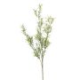 Rama artificial de Asparagus sprengeri SAMBENO, verde, 80cm