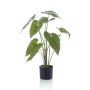 Planta artificial Alocasia Zebrina LEFKA con raíces, verde, 75 cm