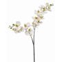 Rama de orquídea Phalaenopsis artificial WANTA, blanca, 100 cm