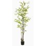 Árbol artificial capuchina SULLA, tronco artificial, verde, 210 cm