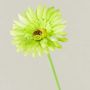 Flor artificial Gerbera TEUDELINDE, verde crema, 55 cm, Ø 8 cm