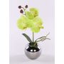 Flor artificial orquídea Phalaenopsis NAPIRAI, maceta, verde crema, 30 cm