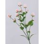 Rama de flor decorativa amaranto THUSNELDA, rosa-blanco, 70 cm