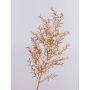 Rama decorativa de Asparagus sprengeri DENDER, dorada, 75 cm
