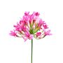Flor artificial Agapanthus OMOLON, rosa, 75 cm