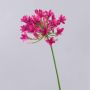 Flor artificial Agapanthus PHILINA, rosa, 75cm, Ø14cm