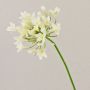 Flor artificial Agapanthus OMOLON, crema, 75 cm