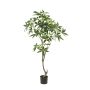Árbol artificial pachira CANTSA, tronco artificial, 150 cm