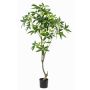 Árbol artificial pachira CANTSA, tronco artificial, 150 cm