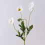 Rama de amapola artificial OXANDRINE, blanco crema, 60 cm