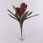 Bromelia Guzmania artificial de terciopelo WALFRIEDE en varilla, rojo burdeos, 50 cm