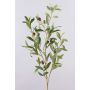 Rama de olivo ROVUMA con frutos, verde, 95cm