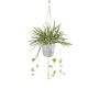 Planta decorativa de lirio verde en maceta colgante de macramé SIMBO con maceta exterior verde y blanca, 90 cm