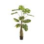 Planta artificial Philodendron monstera deliciosa KORVEX, raíces aéreas, 150 cm