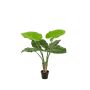 Planta artificial Alocasia Calidora NICAS, maceta decorativa, verde, 90 cm