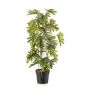 Planta artificial filodendro selloum FLENTO, maceta decorativa, raíces aéreas, 80 cm