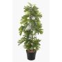 Planta artificial filodendro selloum FLENTO, maceta decorativa, raíces aéreas, 80 cm