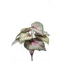 Planta artificial Begonia de hoja BLAROM en varilla, crossdoor, gris-rosa, 25 cm